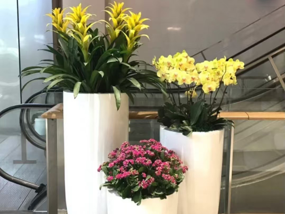 青友園藝成功客戶案例二十一