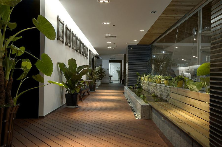 辦公室裝修中風(fēng)水植物怎么擺放? 辦公室裝修中風(fēng)水植物怎么擺放?